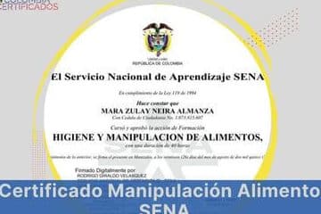 certificados-sena-todo-lo-que-necesitas-saber